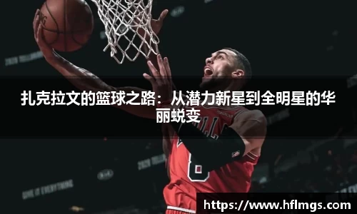 金年会体育