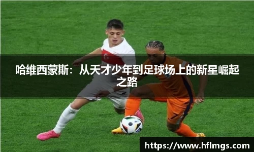 金年会